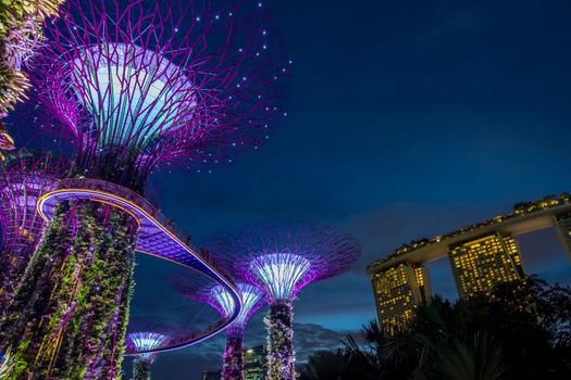 View of Garden by the bay at night - Singapore