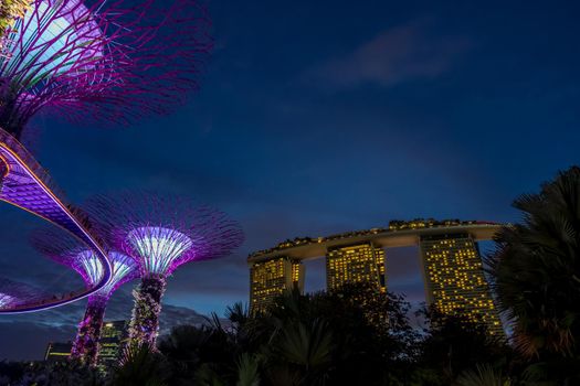 View of Garden by the bay at night - Singapore