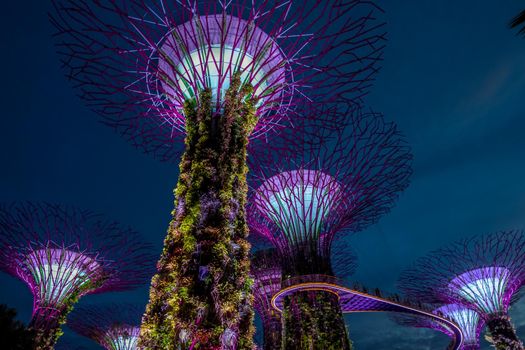 View of Garden by the bay at night - Singapore