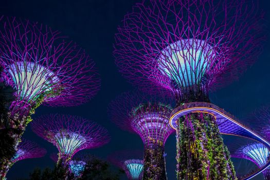 View of Garden by the bay at night - Singapore