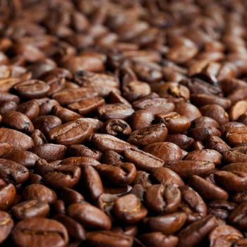 Roasted coffee beans close up detail background