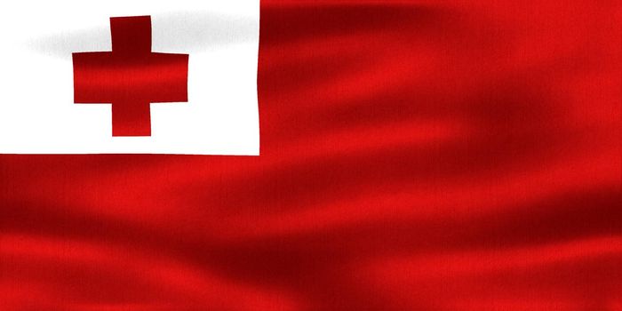 3D-Illustration of a Tonga flag - realistic waving fabric flag.