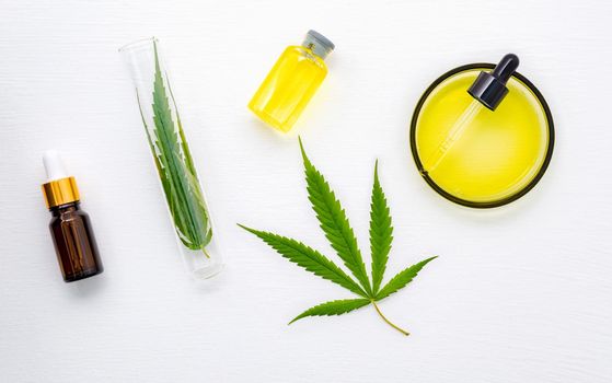 Glass bottle of cannabis oil and hemp leaves set up  on white background.