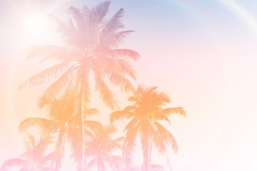 Tropical palm coconut trees on sunset sky flare and bokeh nature colorful background.