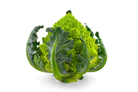 Fresh cauliflower romanesco isolated on white background