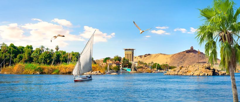 View of majestic Aswan, city on river Nile