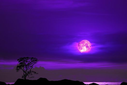 purple moon and tree on the silhouette mountain on sunset sky, Elements of this image furnished by NASA