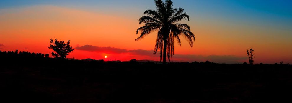 panorama view silhouette coconut tree in sunset on sky beautiful colorful landscape and city countryside twilight time art of nature