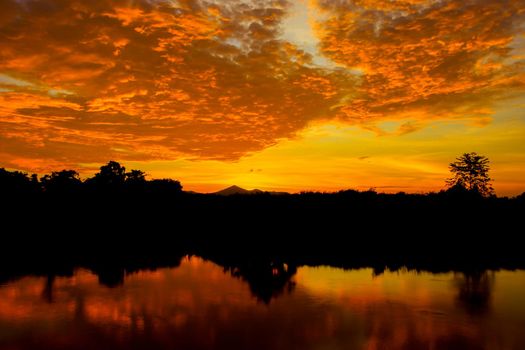 sunset beautiful colorful landscape and silhouette tree  reflex water river in sky twilight time with copy space add text