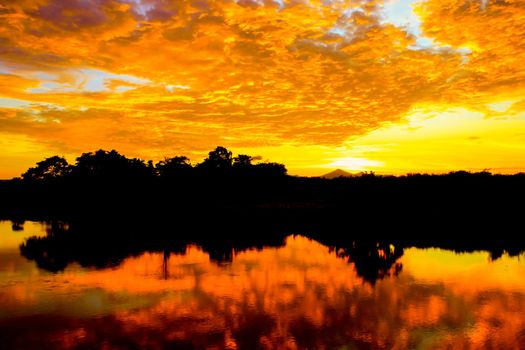 sunset beautiful colorful landscape and silhouette tree  reflex water river in sky twilight time with copy space add text