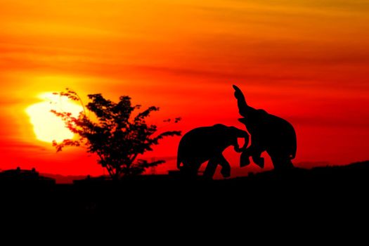 silhouette elephant battle animals wildlife in twilight sunset beautiful background. with copy space add text