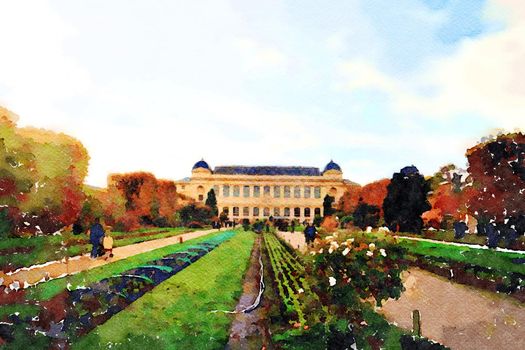watercolor representing the gardens of Paris in autumn