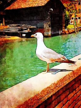 Watercolor representing a seagull on a parapet in the historic center of Venice