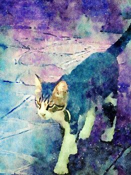 Watercolor representing a cat strolling through the small streets of the historic center of Venice