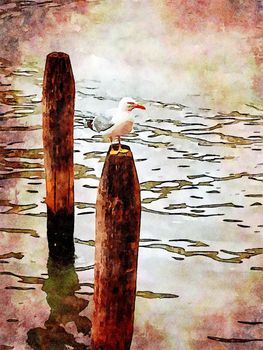 Watercolor representing a seagull perched on one of the poles of the canals in the center of Venice