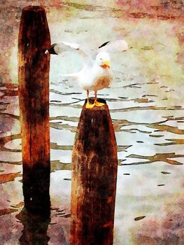 Watercolor representing a seagull perched on one of the poles of the canals in the center of Venice