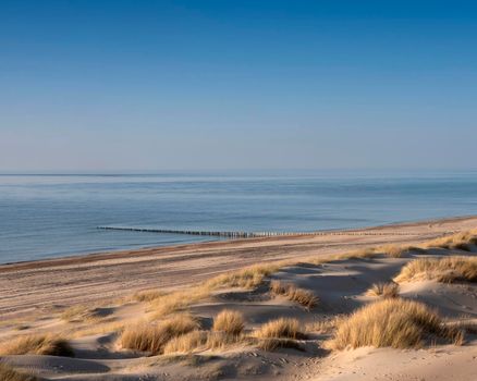 dunes and almost deserted beach on dutch coast near renesse in zeeland under blue sky in spring