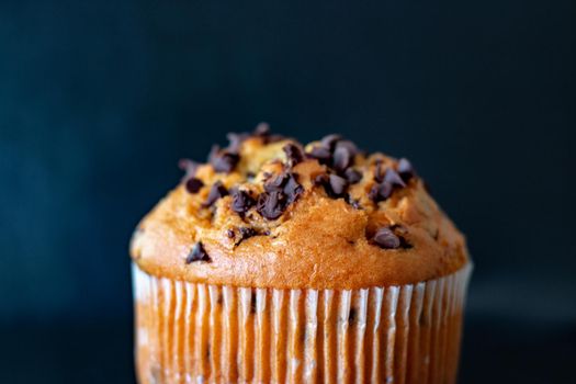 Chocolate chip muffin cup cake closeup isolated on black background..
