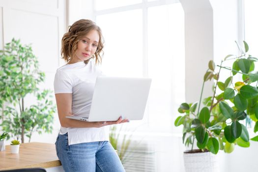 Business woman using laptop standing near desk white office interior with houseplant looking at camera Business people Business person Online, Young and successful Dresed white shirt and jeans