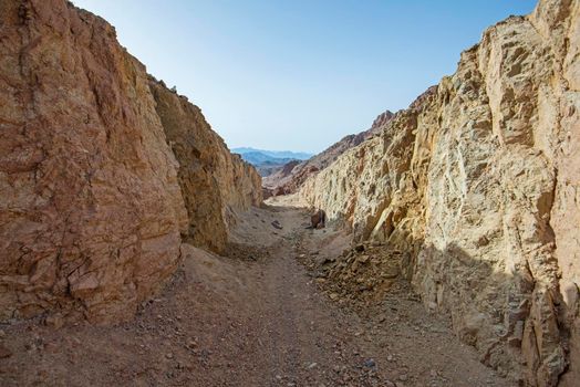 Landscape scenic view of canyon valley in desolate barren eastern desert mountain range in Egypt