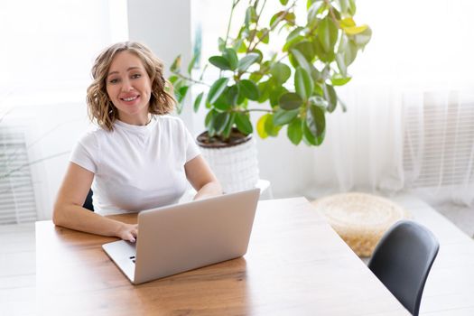 Business woman using laptop sitting near desk white office interior with houseplant looking at camera Business people Business person Online, Young and successful Dresed white shirt