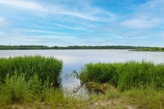 View of a small lake on a clear summer day