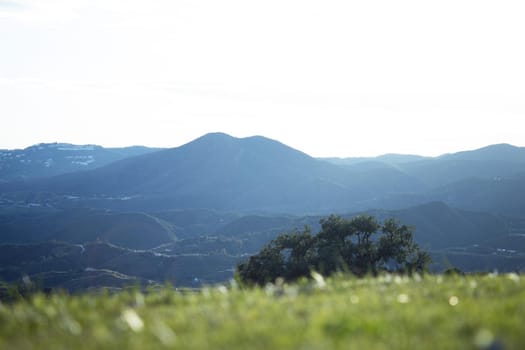 Defocused mountain landscape with focused grass foreground. No people