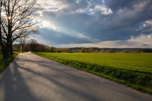 Empty road in spring landscape after rain