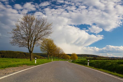 Empty road in spring landscape after rain