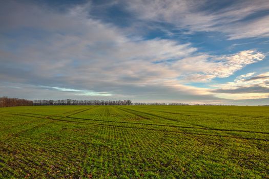 Autumn morning landscape over the city of Louny. Autumn sown field at amazing sunrise. Czech Republic