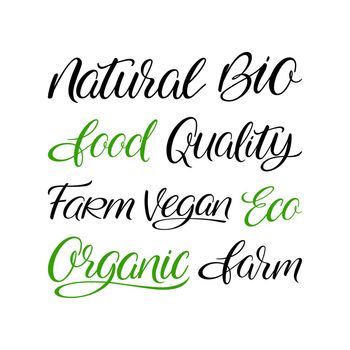 Set of organic food handlettering words. Vector illustration. Natural, bio, eco, vegan, organic