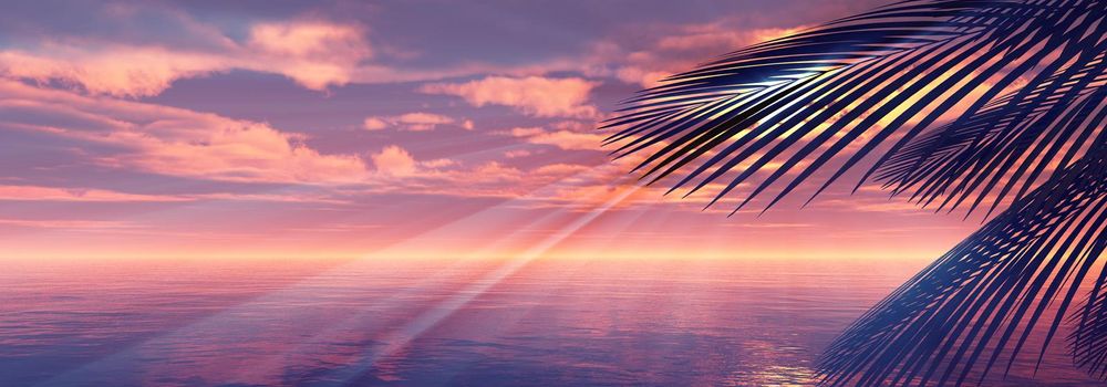 sunset sea palm landscape illustration, 3d render