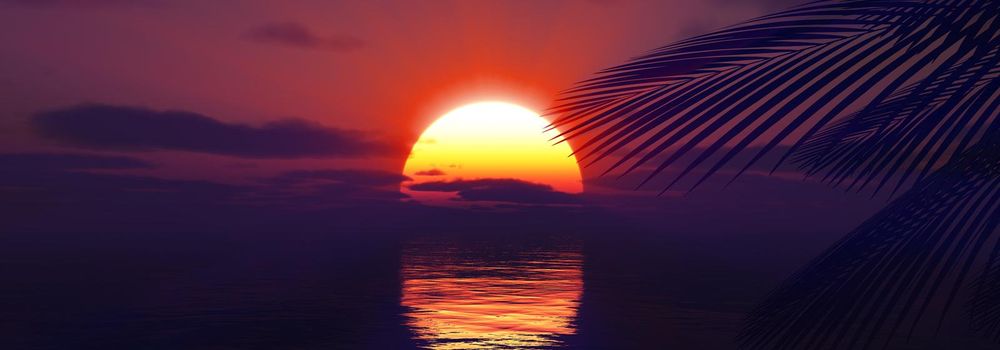 sunset sea palm landscape illustration, 3d render