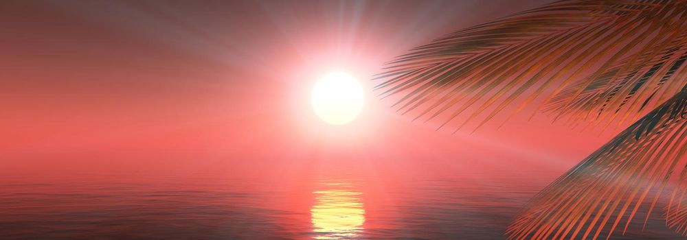 sunset sea palm landscape illustration, 3d render