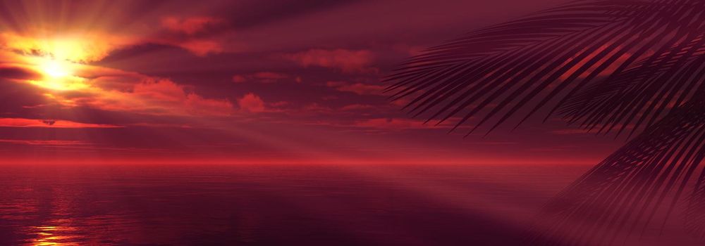 sunset sea palm landscape illustration, 3d render