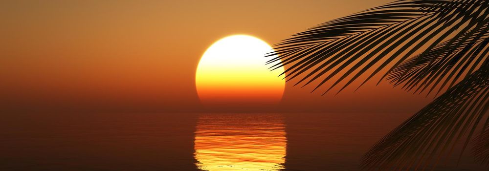 sunset sea palm landscape illustration, 3d render