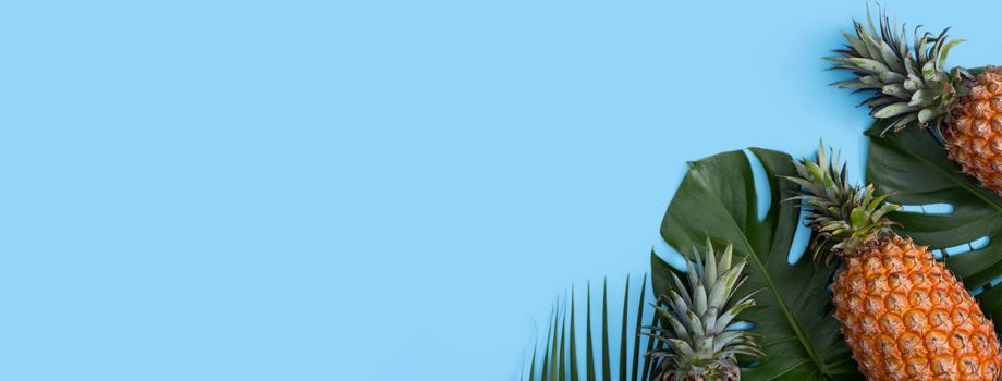 Top view of fresh pineapple with tropical palm and monstera leaves on blue table background.