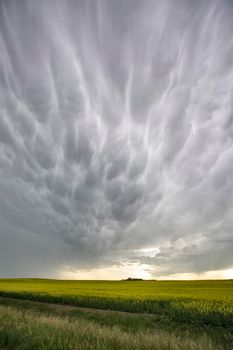 Ominous Storm Clouds Prairie Summer Rural Scene