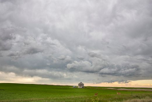 Ominous Storm Clouds Prairie Summer Rural Scene