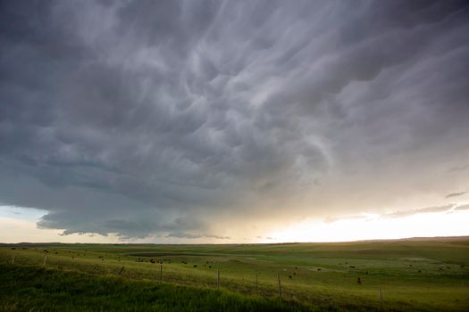 Ominous Storm Clouds Prairie Summer Rural Scene