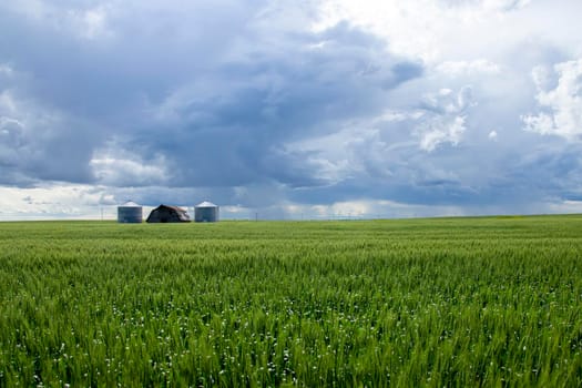 Ominous Storm Clouds Prairie Summer Rural Scene