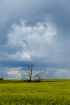 Ominous Storm Clouds Prairie Summer Rural Scene