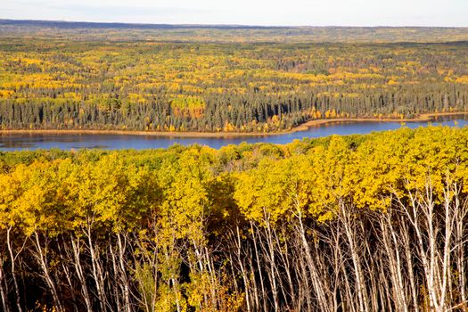 Panorama Fall Colors Prince Albert Natoinal Park