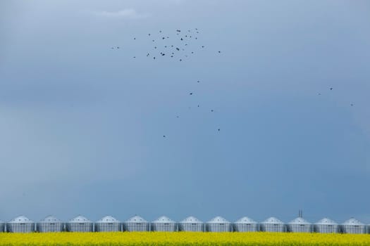 Ominous Storm Clouds Prairie Summer Rural Scene