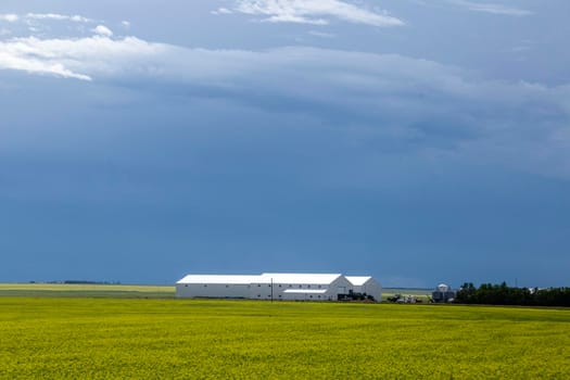 Ominous Storm Clouds Prairie Summer Rural Scene