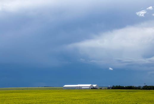 Ominous Storm Clouds Prairie Summer Rural Scene