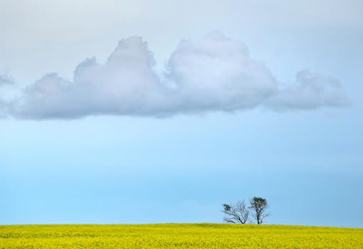 Ominous Storm Clouds Prairie Summer Rural Scene