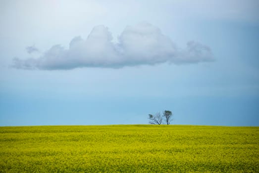 Ominous Storm Clouds Prairie Summer Rural Scene