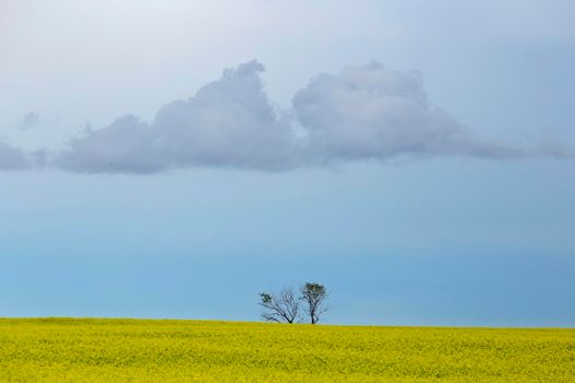 Ominous Storm Clouds Prairie Summer Rural Scene