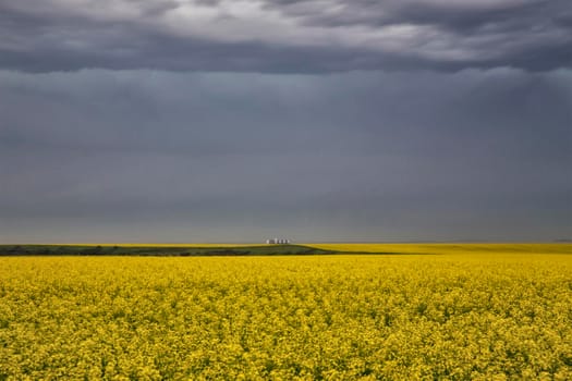 Ominous Storm Clouds Prairie Summer Rural Scene